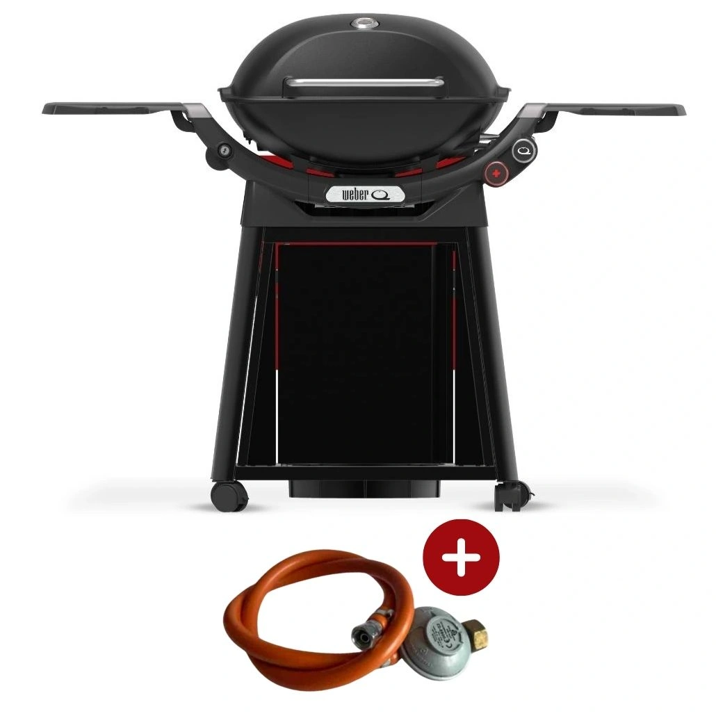 Weber Q2800N + suporWeber Q2800N + suport permanent +Regulatort permanent +Regulator.jpg